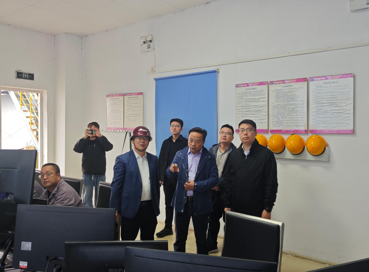 溧阳市副市长庄铠莅临江苏热电督查指导